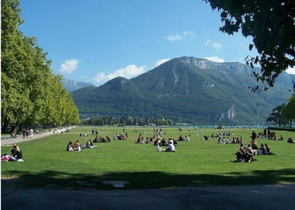 Апартаменти La Petite Venise Des Alpes, Ultra Centre 1 A 5 Pers Аннесі Екстер'єр фото
