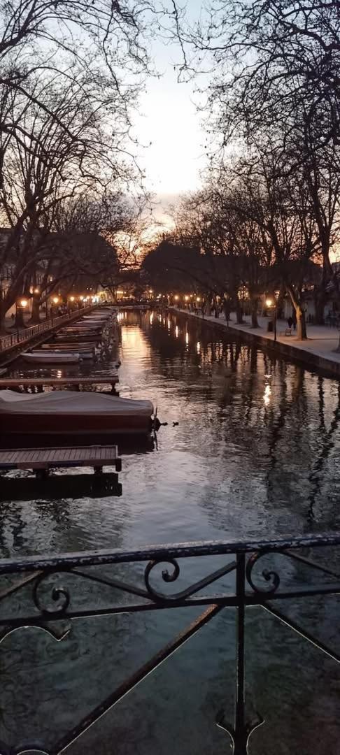 Апартаменти La Petite Venise Des Alpes, Ultra Centre 1 A 5 Pers Аннесі Екстер'єр фото